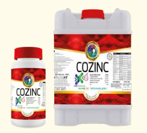 Cozinc