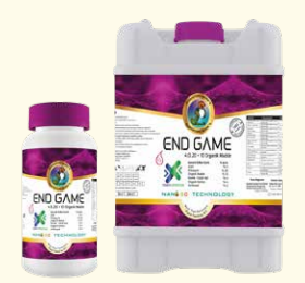 End Game