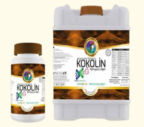 Kokolin