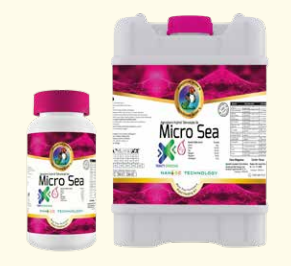 Micro Sea