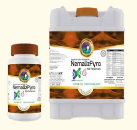 NemalizPyro