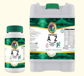Enzymatic A-Z