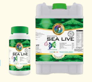 Sea Live