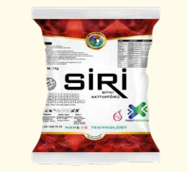 Siri