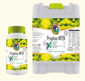 Prophos NPZN