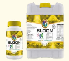Bloom 3-30-3 + ME
