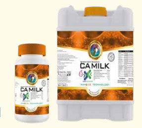 CA Milk